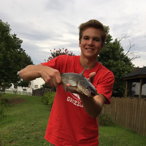 Meet your Posher, Benjamin